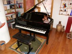 Piano à queue Fazioli 184 cm